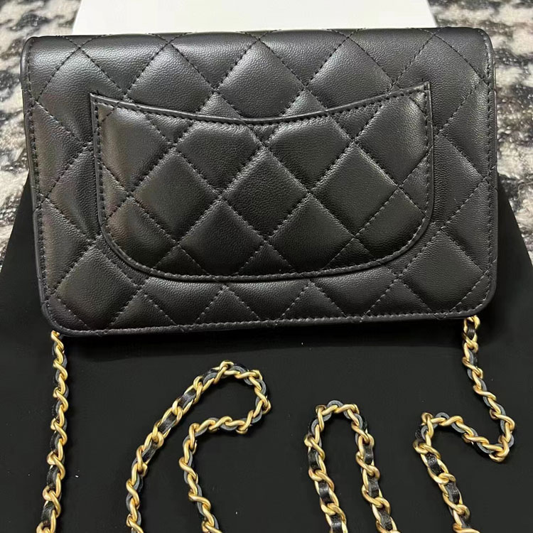 2023 Chanel WALLET ON CHAIN