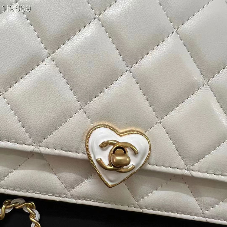 2023 Chanel WALLET ON CHAIN