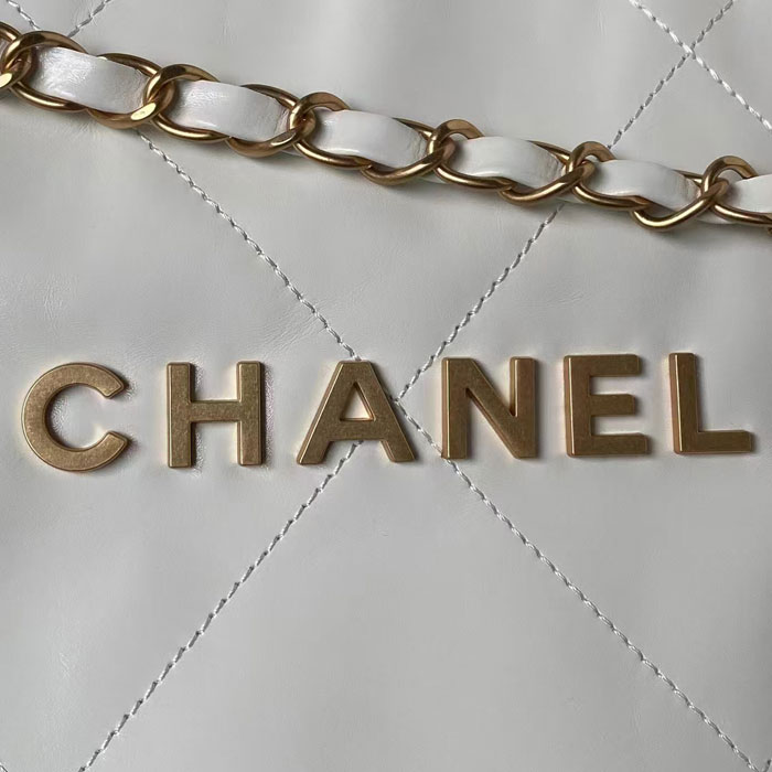 2024 CHANEL 22 HANDBAG