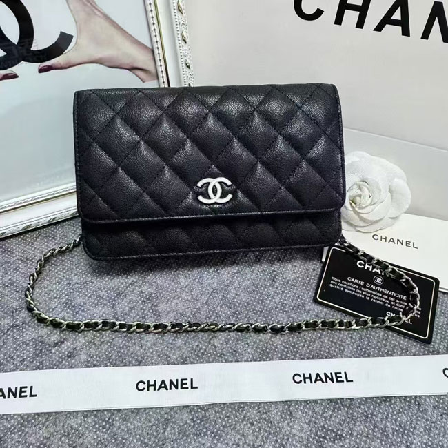 2024 Chanel 19 WOC Mini Flap Bag