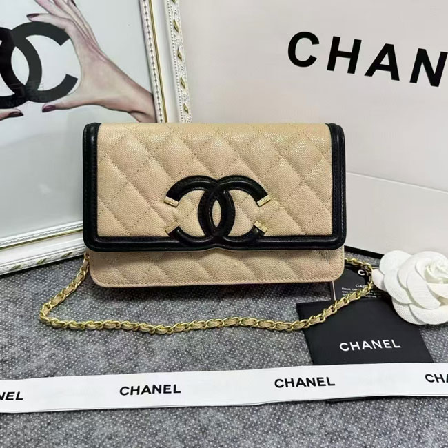 2024 Chanel 19 WOC Mini Flap Bag