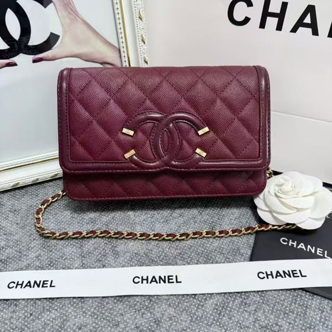 2024 Chanel 19 WOC Mini Flap Bag