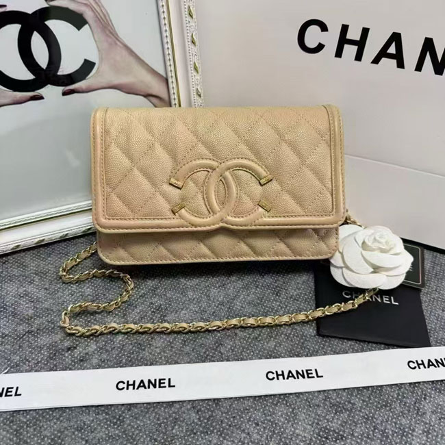 2024 Chanel 19 WOC Mini Flap Bag