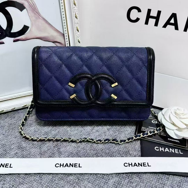 2024 Chanel 19 WOC Mini Flap Bag