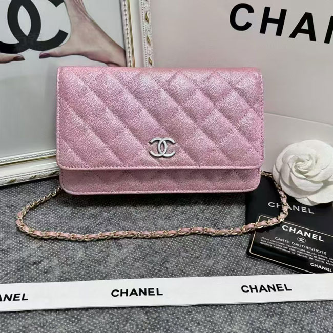 2024 Chanel 19 WOC Mini Flap Bag