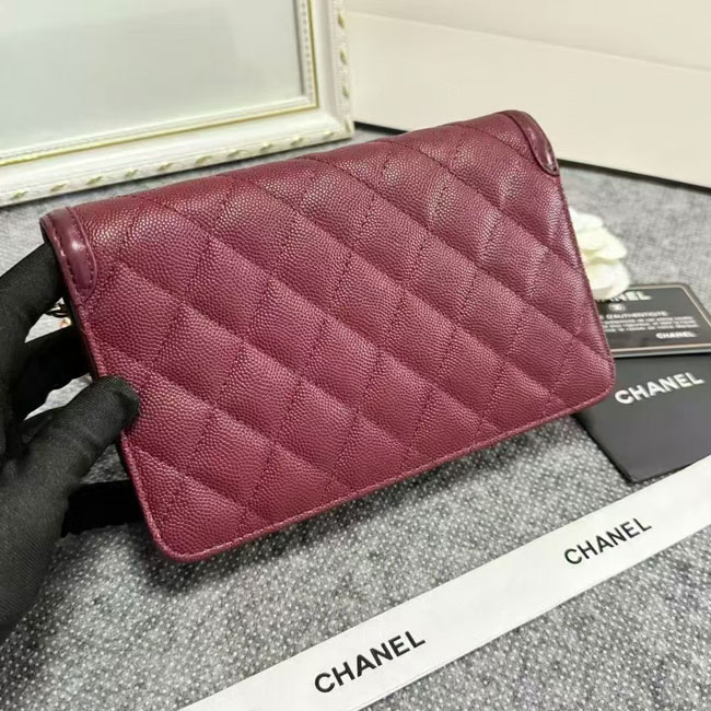 2024 Chanel 19 WOC Mini Flap Bag