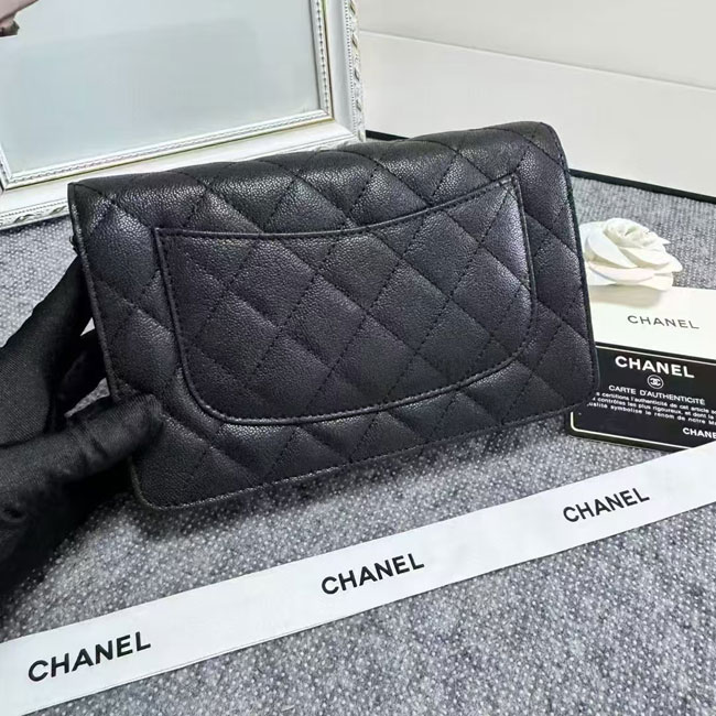 2024 Chanel 19 WOC Mini Flap Bag