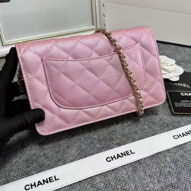 2024 Chanel 19 WOC Mini Flap Bag