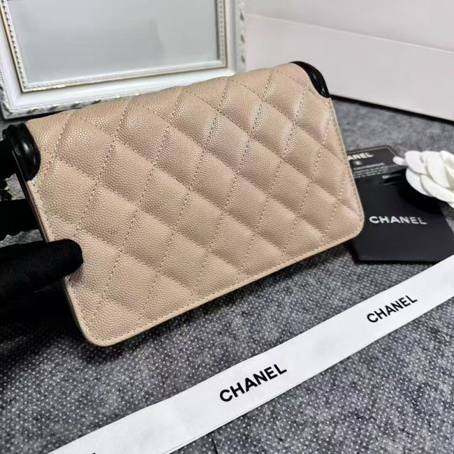 2024 Chanel 19 WOC Mini Flap Bag