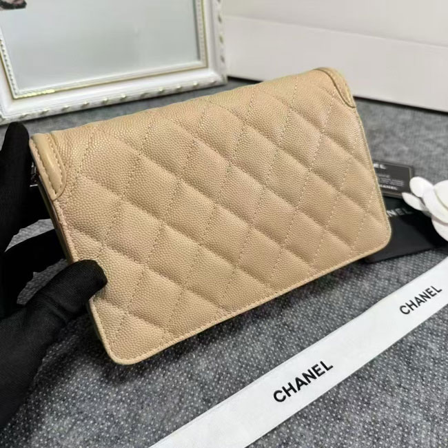 2024 Chanel 19 WOC Mini Flap Bag