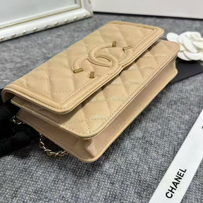 2024 Chanel 19 WOC Mini Flap Bag