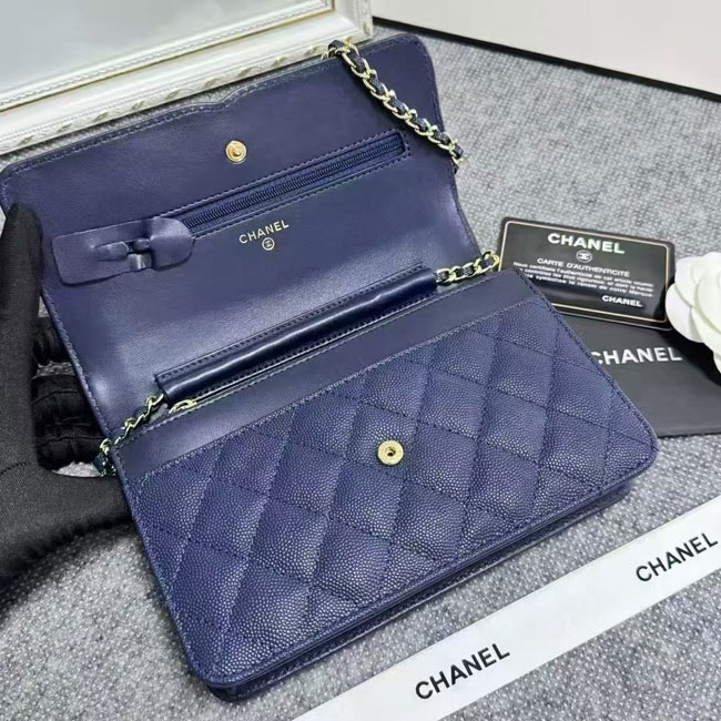 2024 Chanel 19 WOC Mini Flap Bag