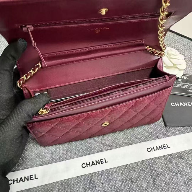 2024 Chanel 19 WOC Mini Flap Bag