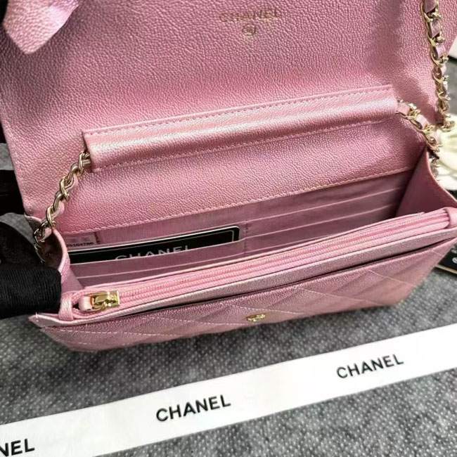 2024 Chanel 19 WOC Mini Flap Bag