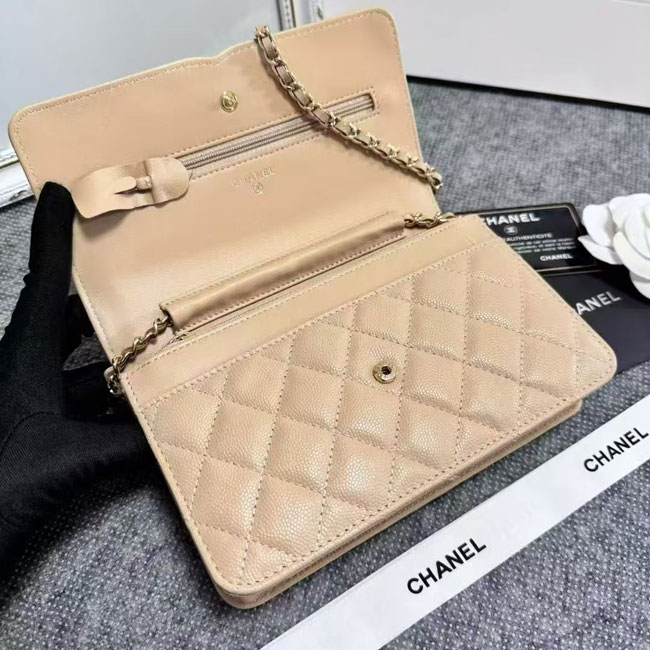 2024 Chanel 19 WOC Mini Flap Bag