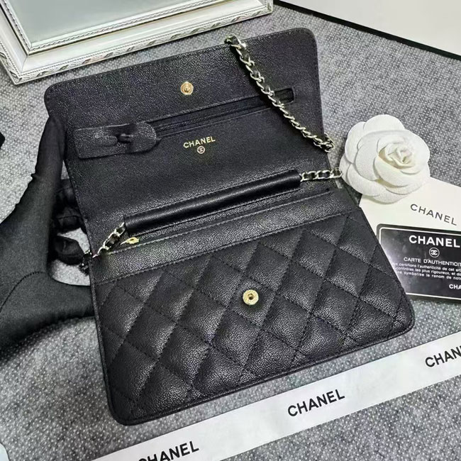 2024 Chanel 19 WOC Mini Flap Bag