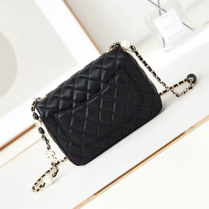 2024 Chanel Flap Bag