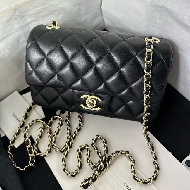 2024 Chanel Mini Flap Bag