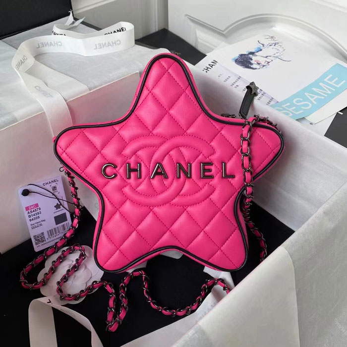 2024 Chanel STAR HANDBAG