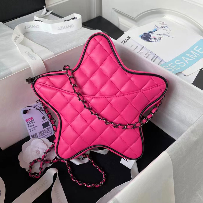 2024 Chanel STAR HANDBAG