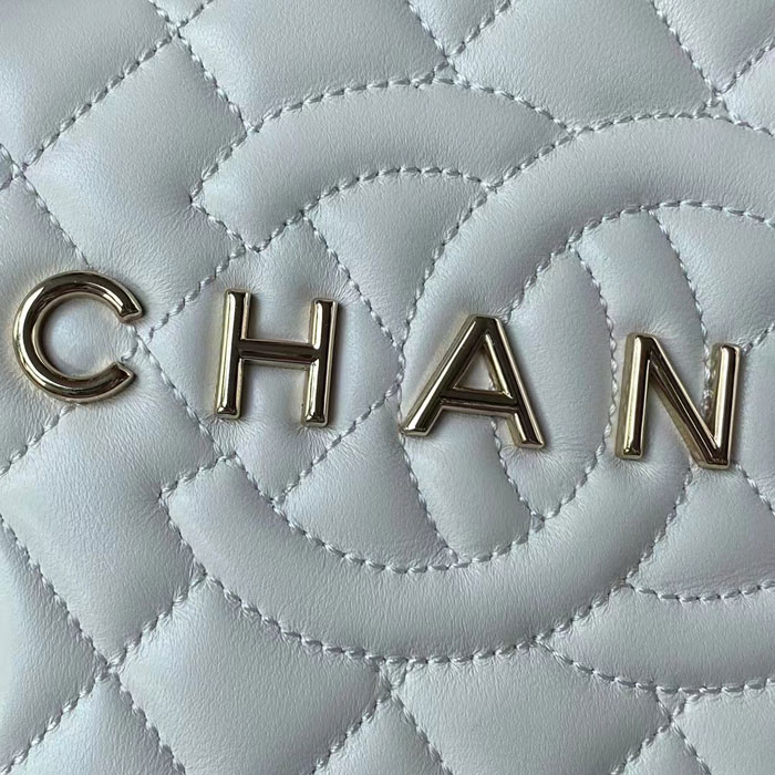 2024 Chanel STAR HANDBAG