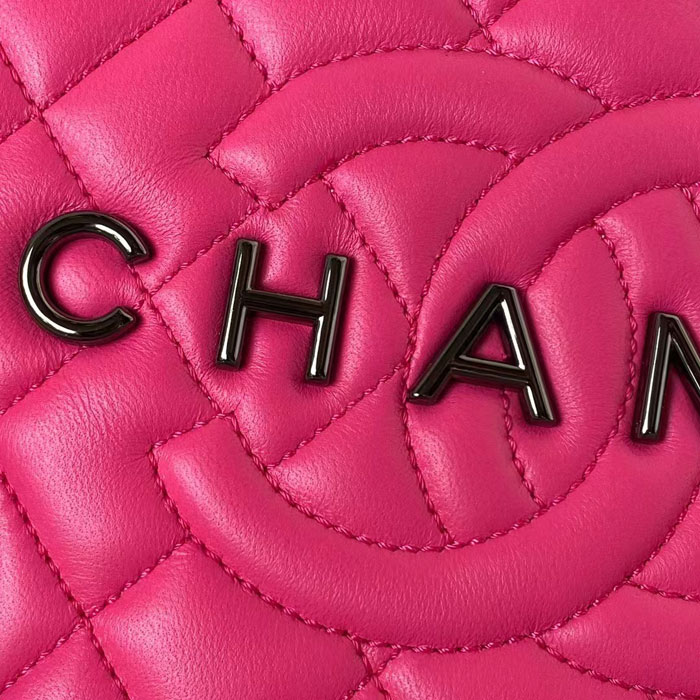 2024 Chanel STAR HANDBAG