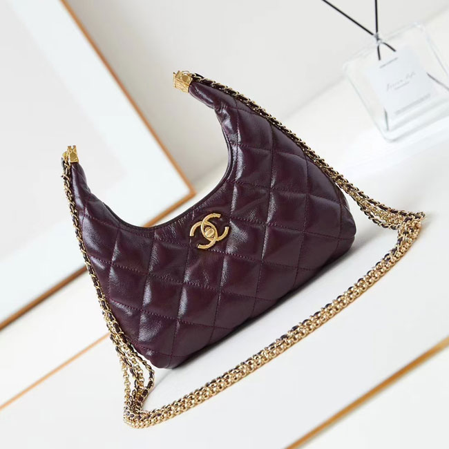 2024 Chanel hobo bag