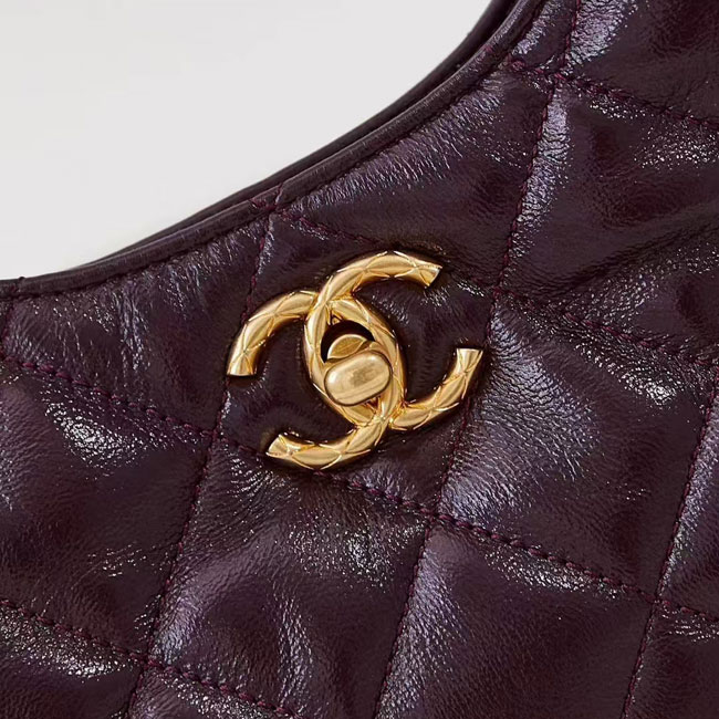 2024 Chanel hobo bag