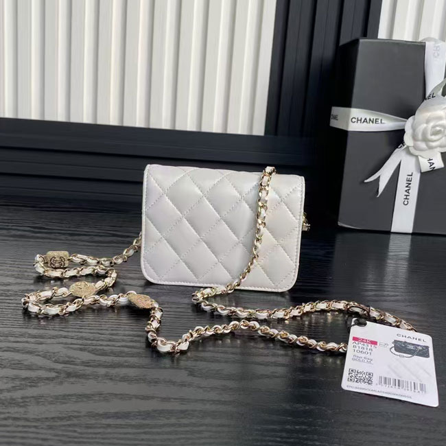 2025 Chanel CLUTCH WITH CHAIN