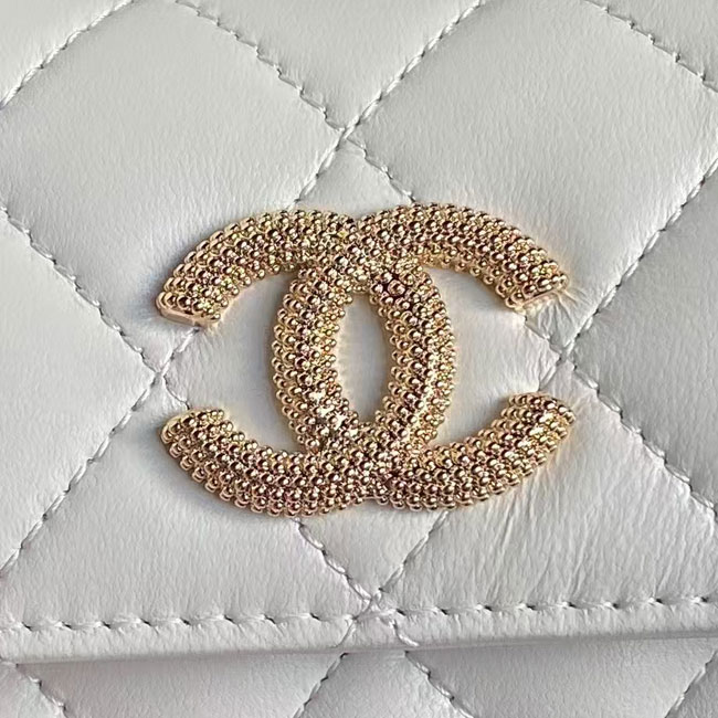 2025 Chanel CLUTCH WITH CHAIN