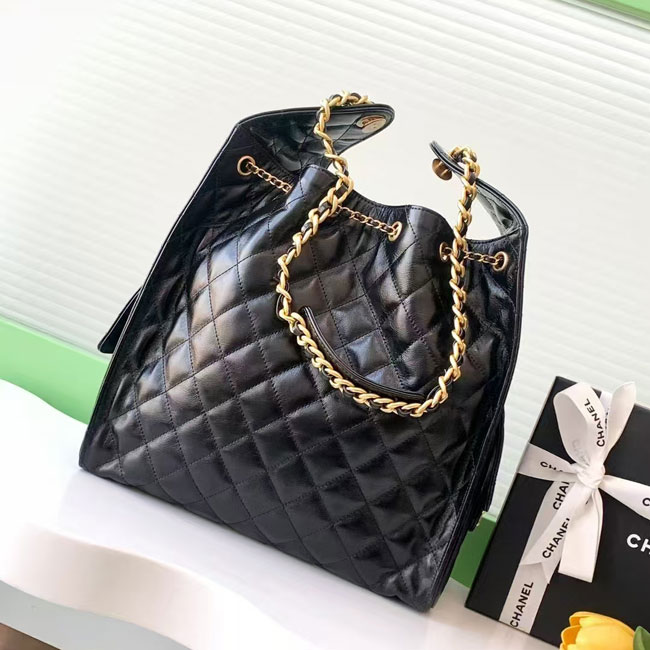 2025 Chanel HOBO BAG