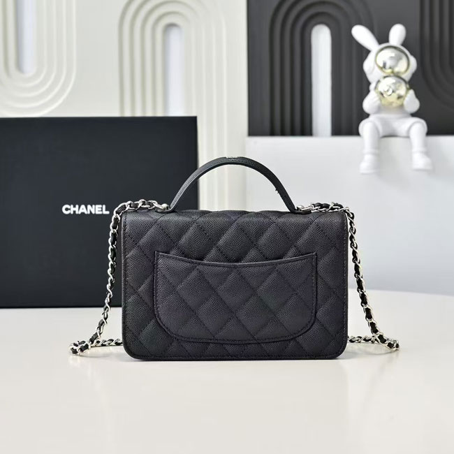 2025 Chanel MINI FLAP BAG WITH TOP HANDLE