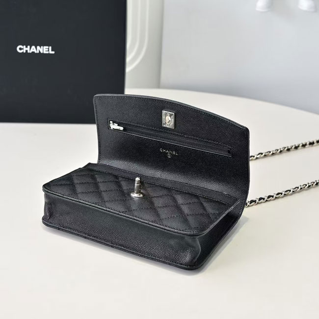 2025 Chanel MINI FLAP BAG WITH TOP HANDLE