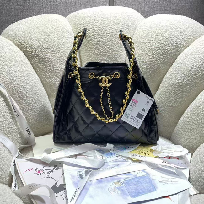 2025 Chanel SMALL HOBO BAG