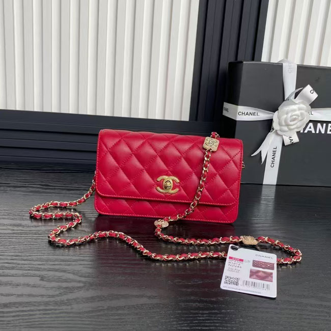 2025 Chanel WALLET ON CHAIN