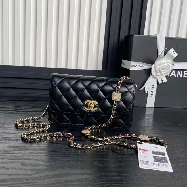 2025 Chanel WALLET ON CHAIN