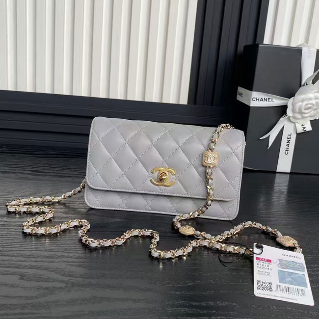 2025 Chanel WALLET ON CHAIN