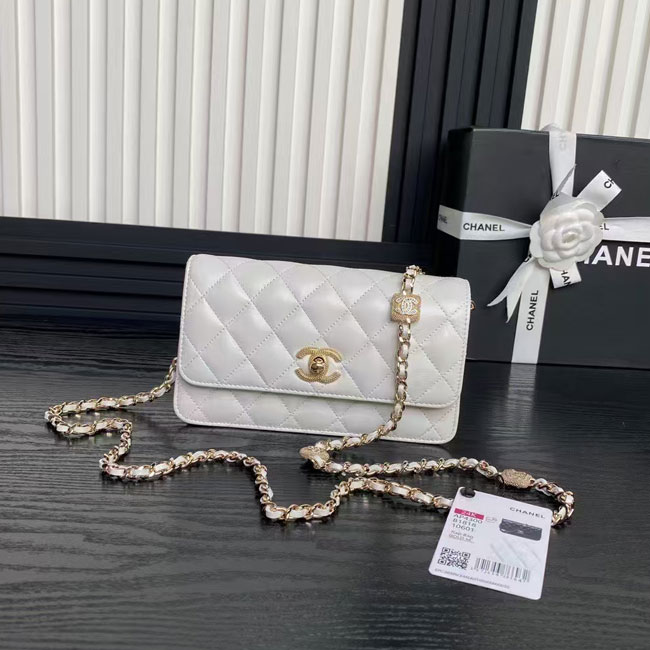 2025 Chanel WALLET ON CHAIN