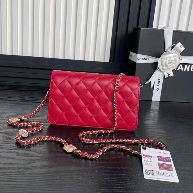 2025 Chanel WALLET ON CHAIN