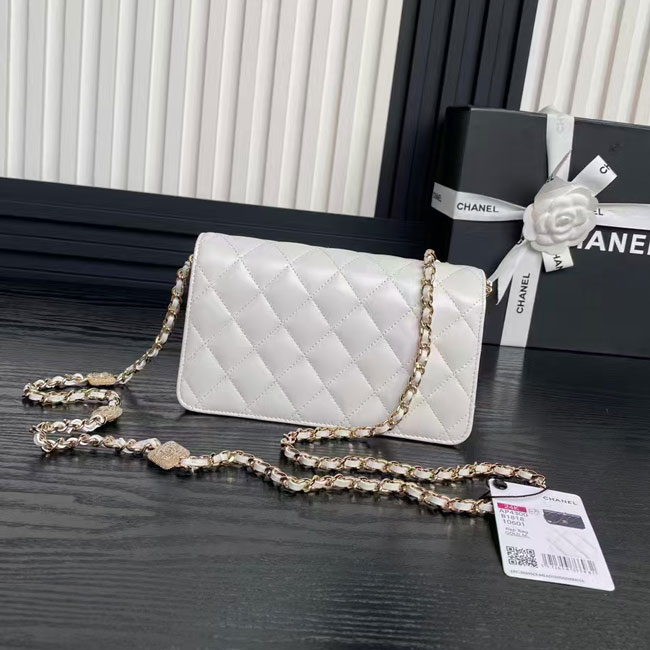 2025 Chanel WALLET ON CHAIN