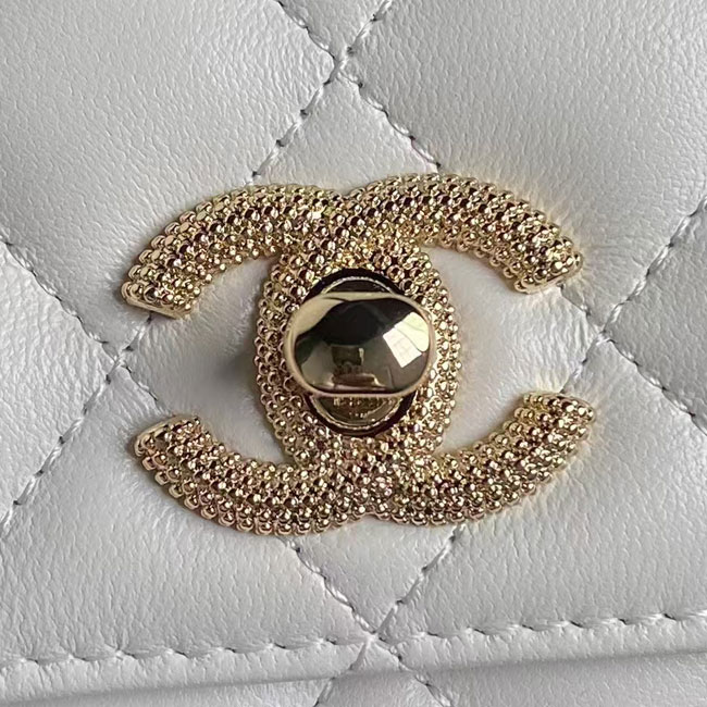 2025 Chanel WALLET ON CHAIN