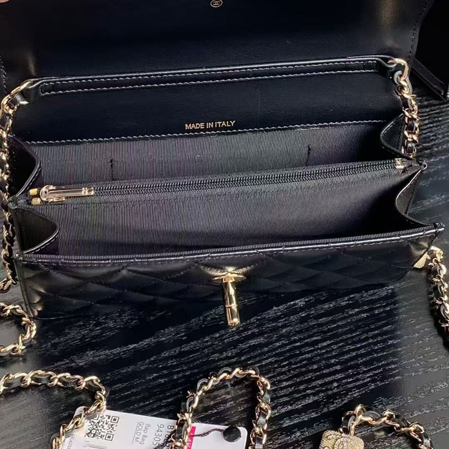 2025 Chanel WALLET ON CHAIN