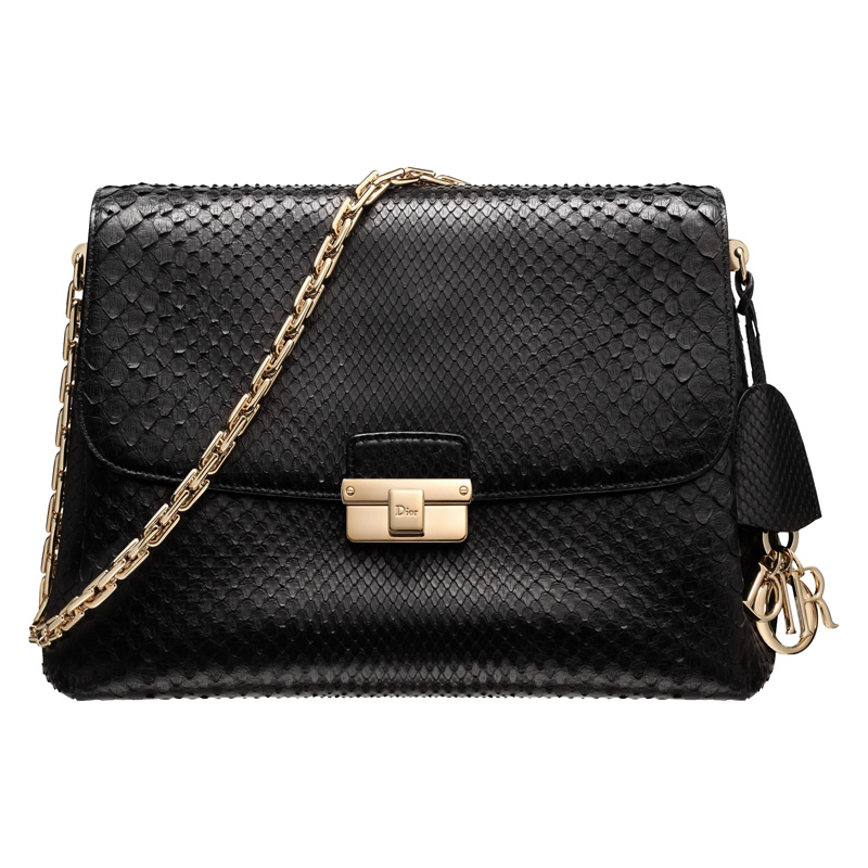 Black python Diorling bag