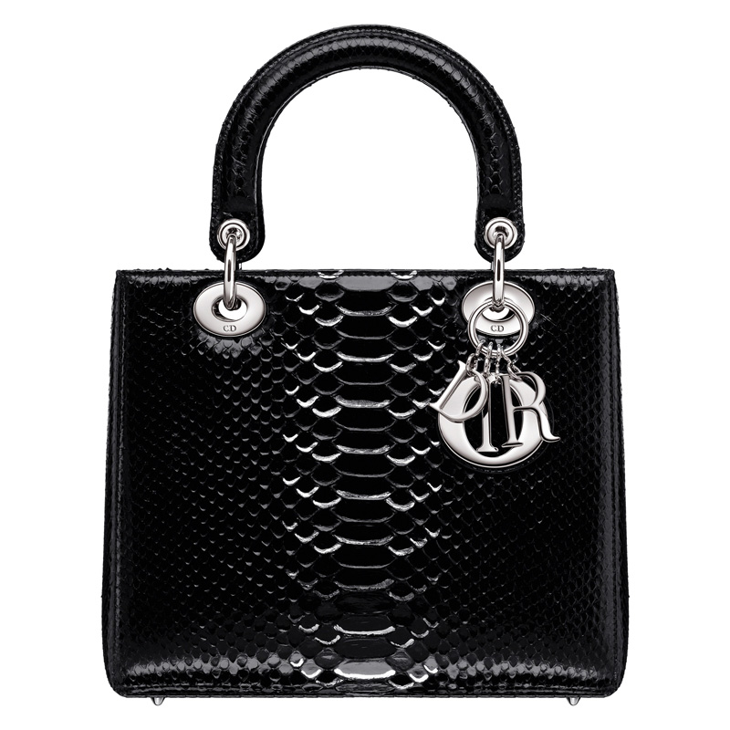 Black python Lady Dior bag and hand-painted silver-tone details