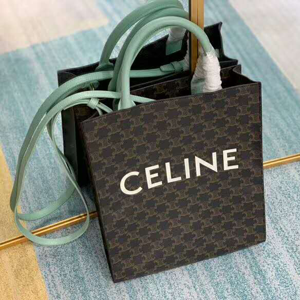 CELINE CABAS IN TRIOMPHE CANVAS