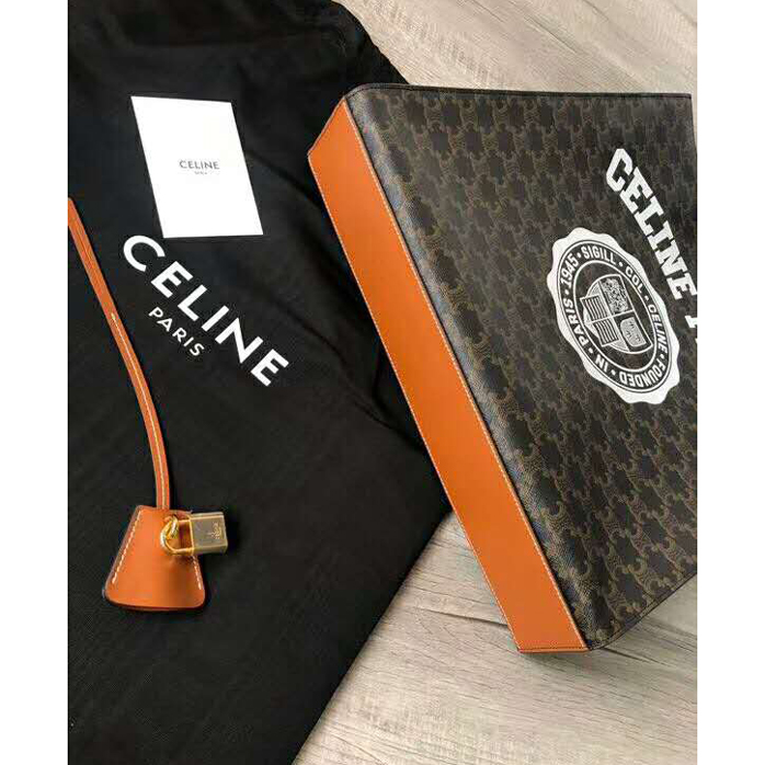 CELINE CABAS IN TRIOMPHE CANVAS