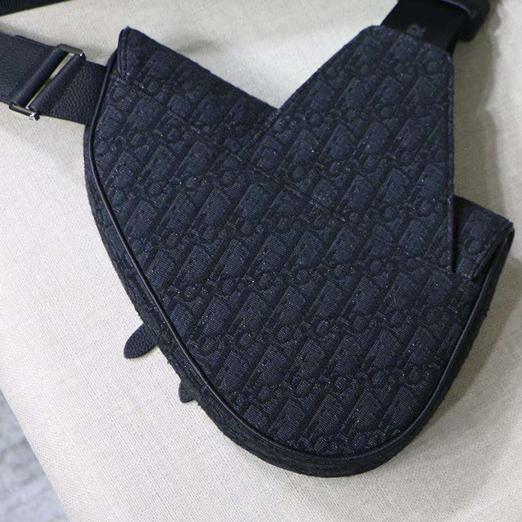 DIOR SADDLE BAG