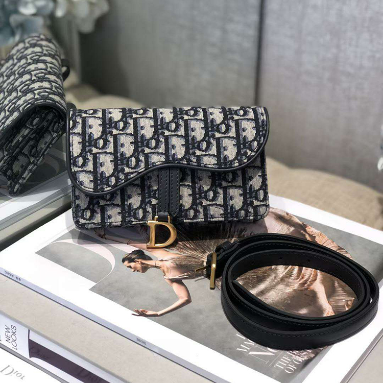 DIOR SADDLE BELT POUCH