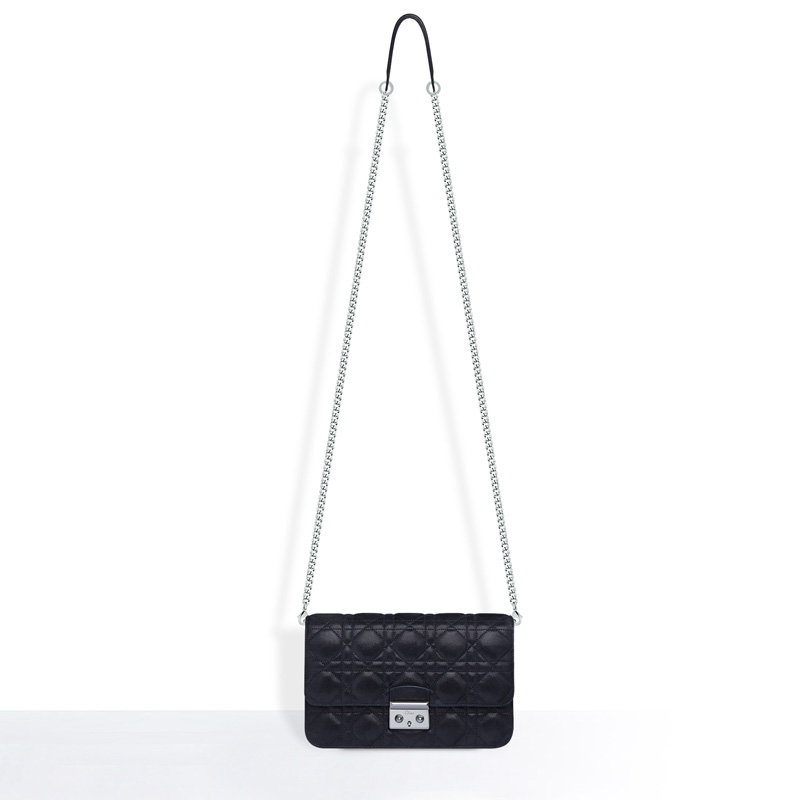 Dior Large Promenade pouch in black iridescent nubuck calfskin