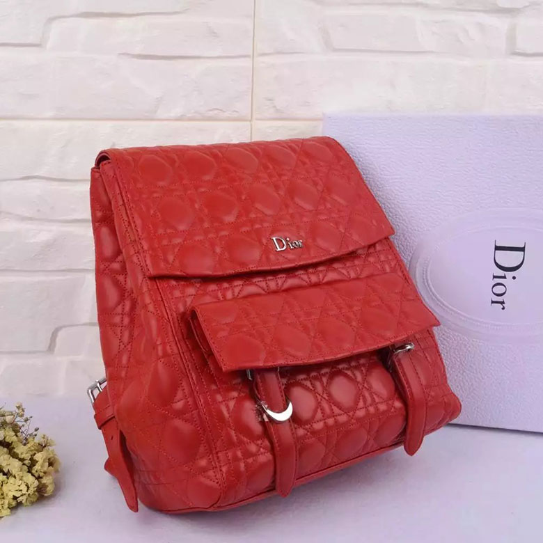 Dior SMALL STARDUST BACKPACK IN LAMBSKIN